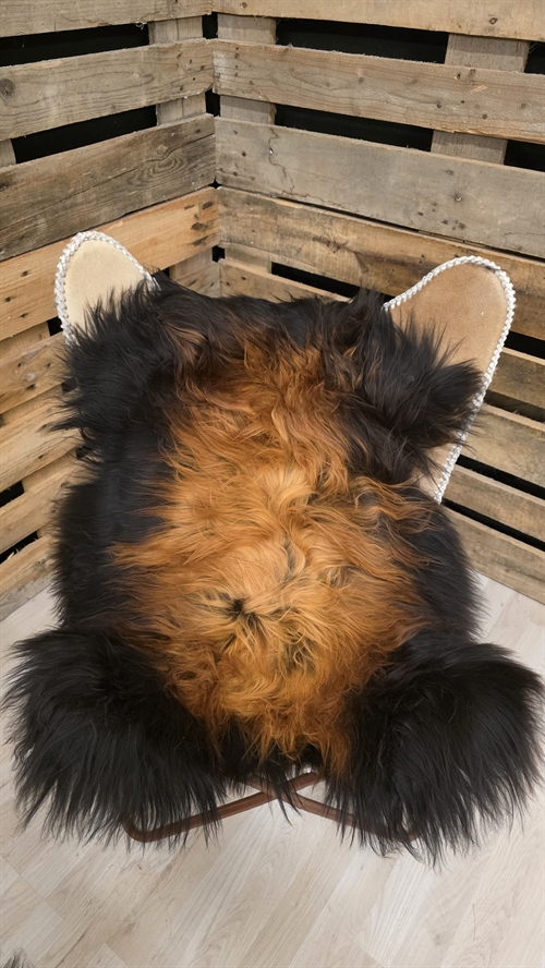 Lammfell Ischländisches Flame 2944