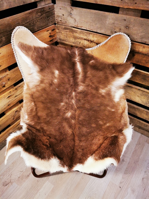 Ziege 2.sortierung 93453