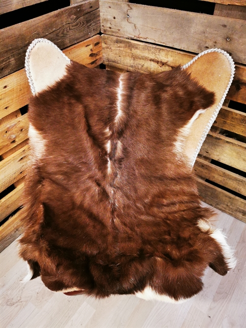 Ziege 2.sortierung 93455