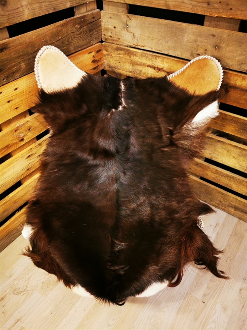 Ziege 2.sortierung 93456