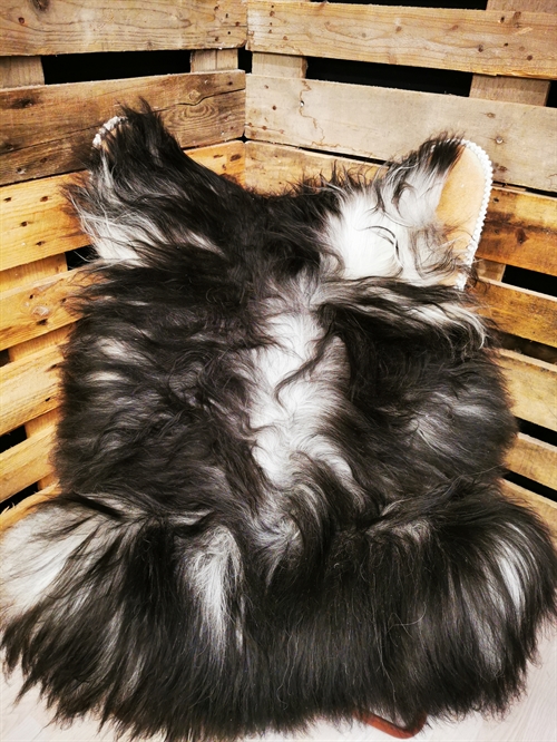 Lammfell Isländisch Grau