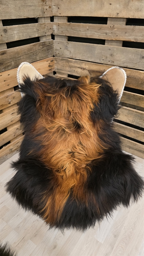 Lammfell Isländisches Flame