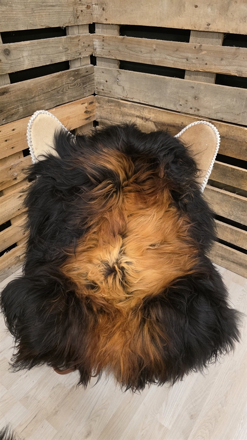 Lammfell Isländisches Flame