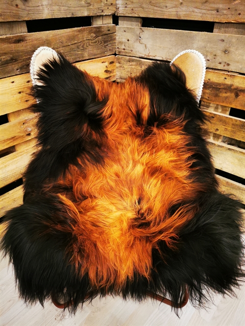 Lammfell Isländisches Flame 
