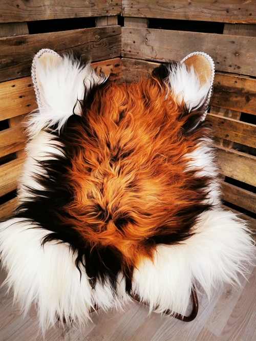 Lammfell Isländisches Flame 