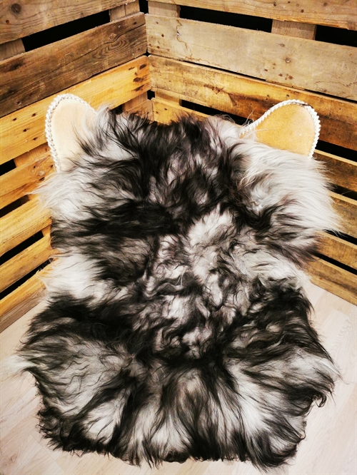 Lammfell Isländische Silver Shadow