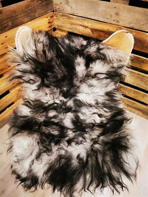 Lammfell Isländische Silver Shadow