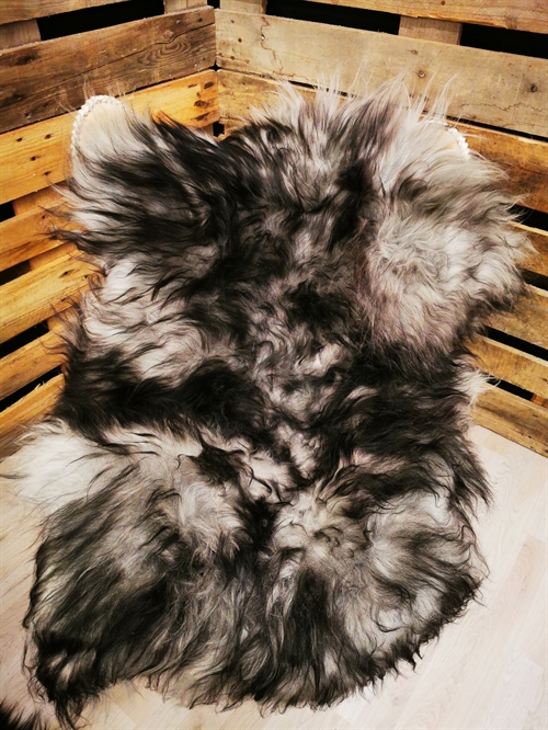 Lammfell Isländische Silver Shadow