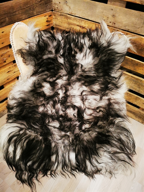 Lammfell Isländische Silver Shadow