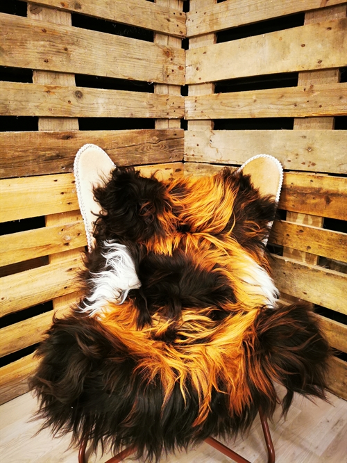 Lammfell Isländisch Multi Flame 