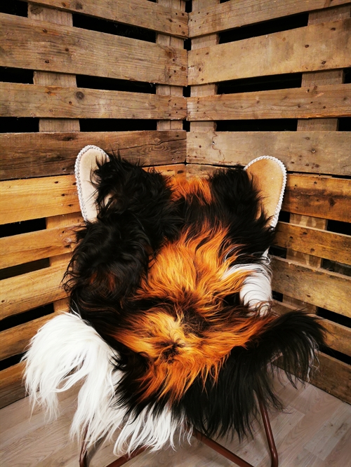 Lammfell Isländisch Multi Flame 