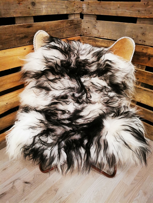 Lammfell Isländische Silver Shadow