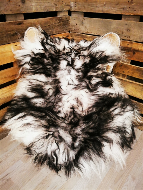 Lammfell Isländische Silver Shadow