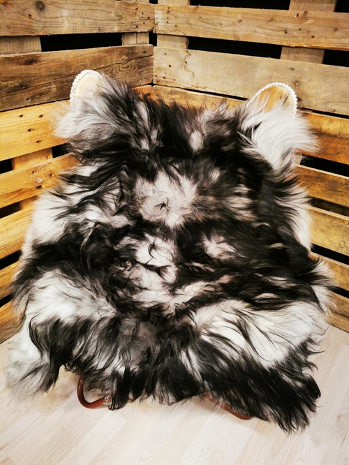 Lammfell Isländisch Silver Shadow