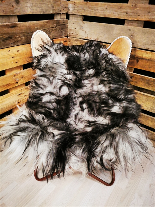 Lammfell Isländisch Silver Shadow