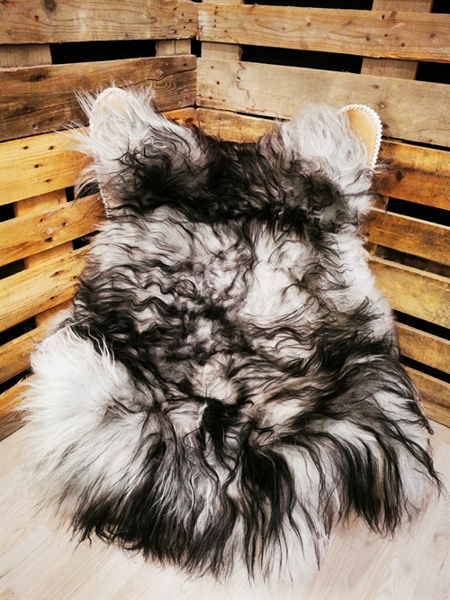 Lammfell Isländisch Silver Shadow