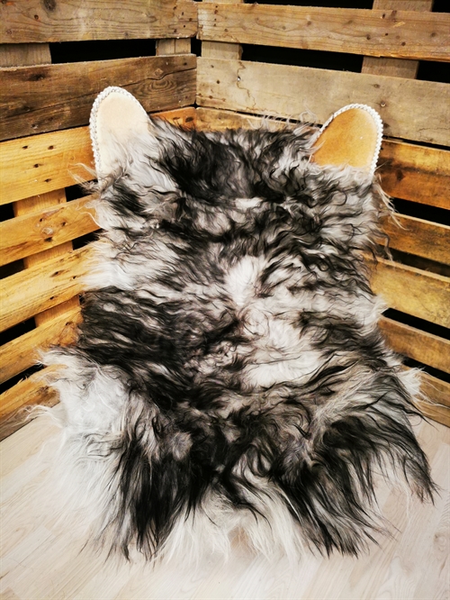 Lammfell Isländisch Silver Shadow