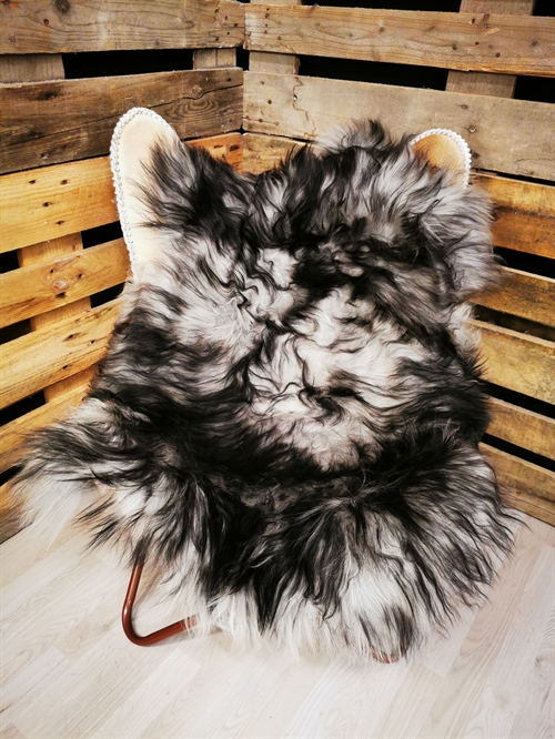 Lammfell Isländisch Silver Shadow