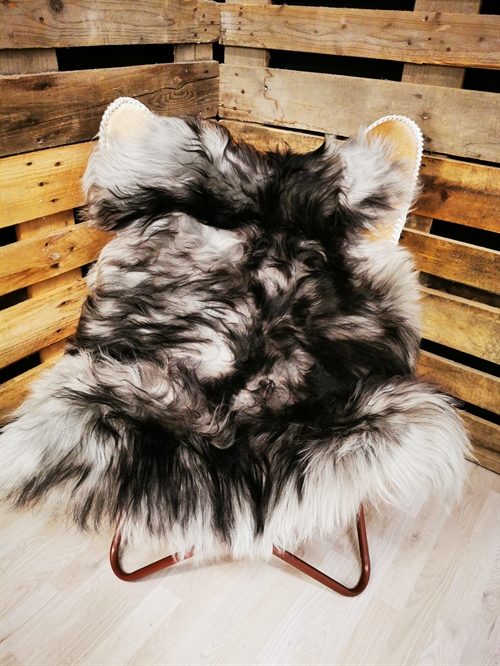 Lammfell Isländisch Silver Shadow