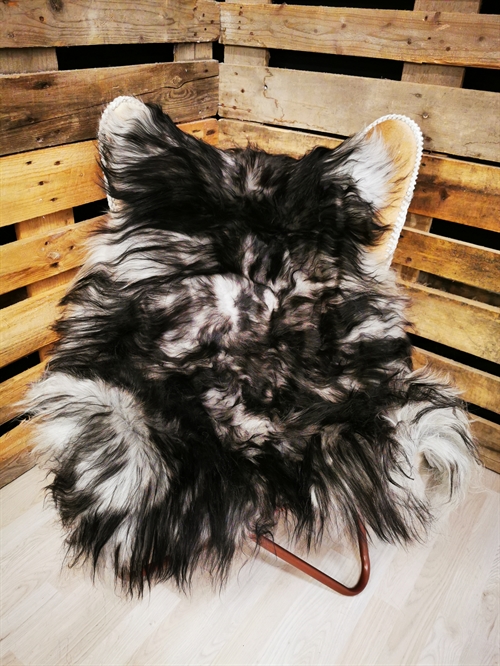 Lammfell Isländisch Silver Shadow