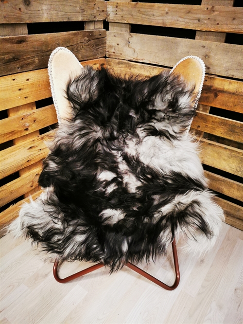 Lammfell Isländisch Silver Shadow