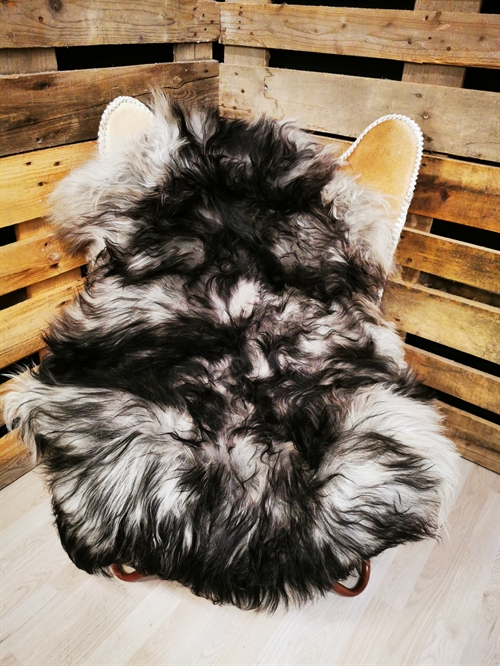 Lammfell Isländisch Silver Shadow