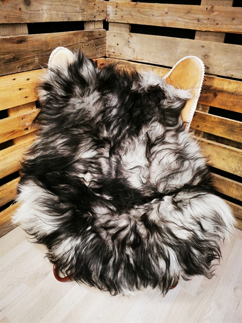 Lammfell Isländisch Silver Shadow