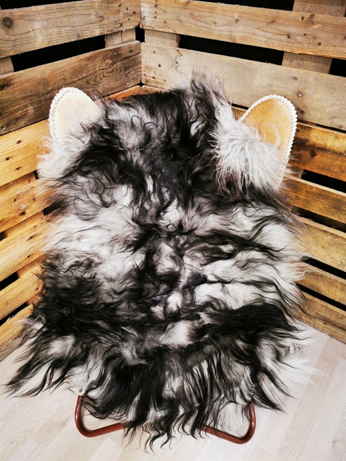 Lammfell Isländisch Silver Shadow