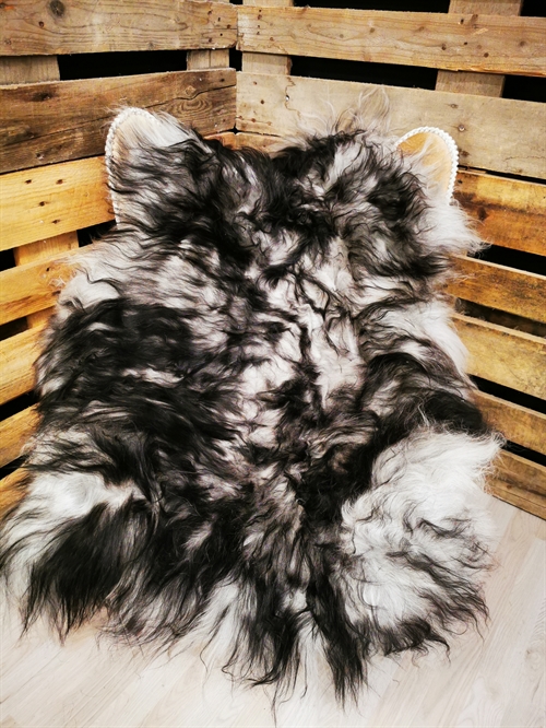 Lammfell Isländisch Silver Shadow