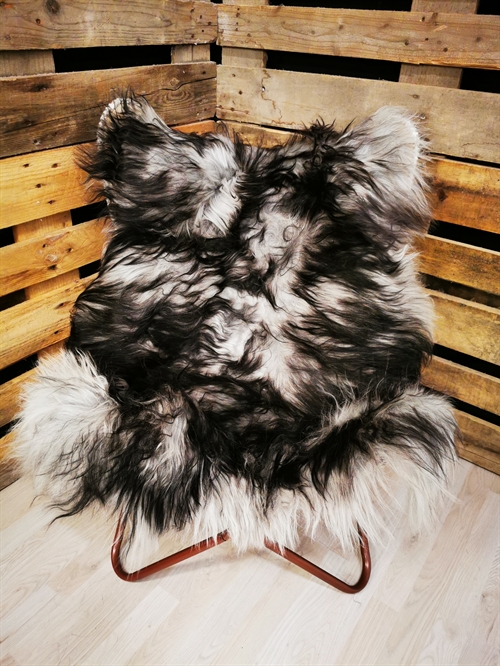 Lammfell Isländisch Silver Shadow