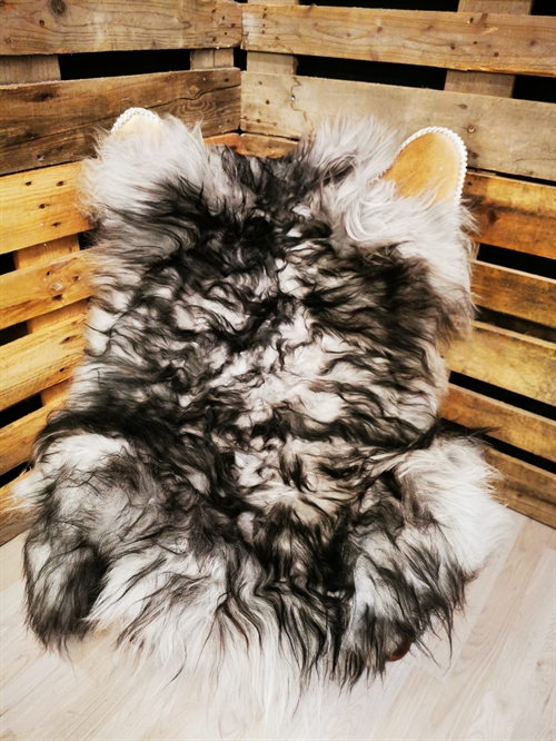 Lammfell Isländisch Silver Shadow