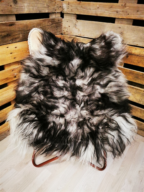 Lammfell Isländisch Silver Shadow