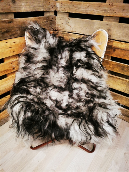 Lammfell Isländisch Silver Shadow