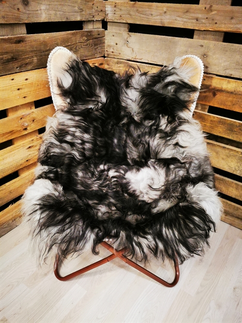 Lammfell Isländisch Silver Shadow