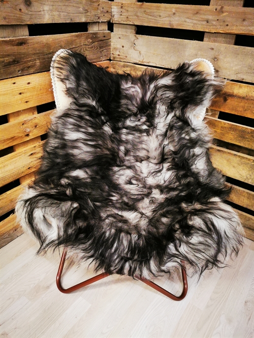 Lammfell Isländisch Silver Shadow