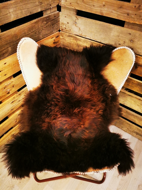 Lammfell Europäisch Flame