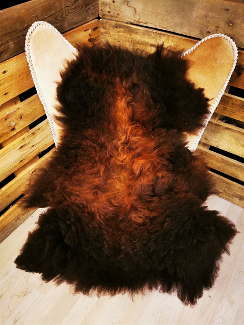 Lammfell Europäisch Flame