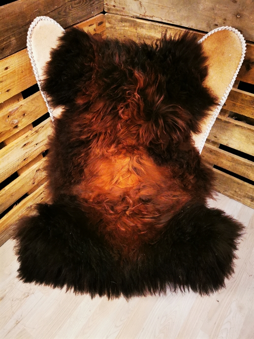 Lammfell Europäisch Flame