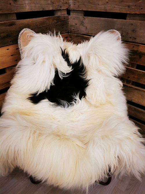 Lammfell Isländisches Zweifarbig