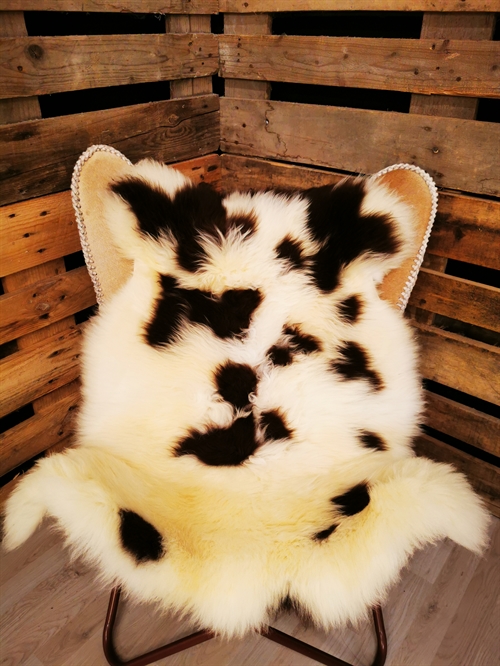 Lammfell Europäisches Jacobschaf