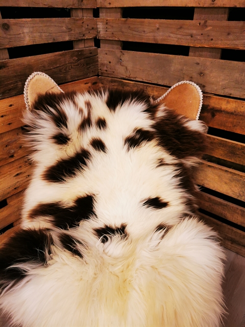 Lammfell Europäisches Jacobschaf