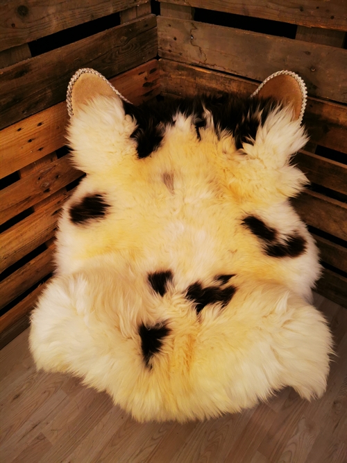 Lammfell Europäisch Jacobschaf