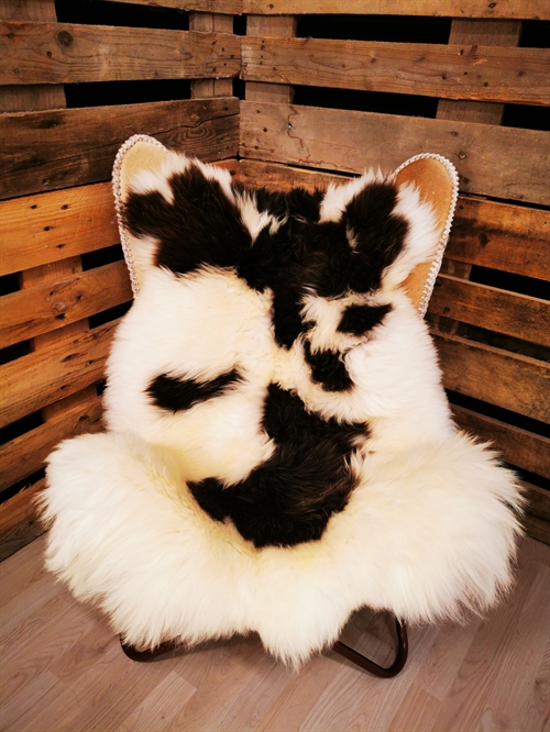 Lammfell Europäisch Jacobschaf