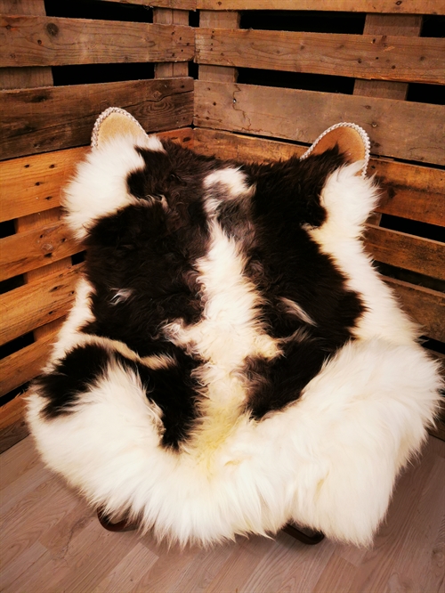 Lammfell Europäisch Jacobschaf