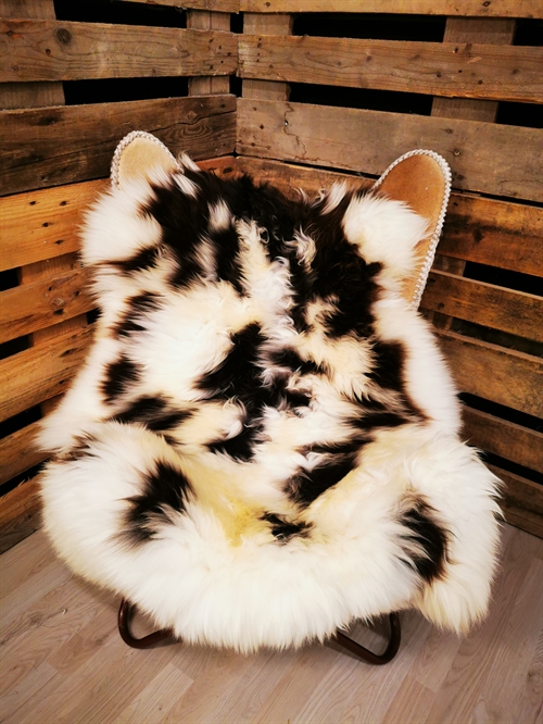 Lammfell Europäisch Jacobschaf