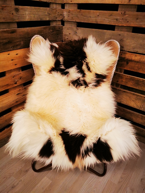 Lammfell Europäisch Jacobschaf