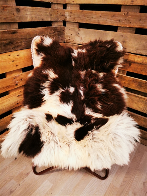 Lammfell Europäisch Jacobschaf