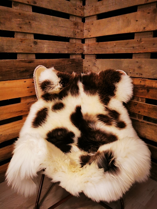 Lammfell Europäich Jacobschaf