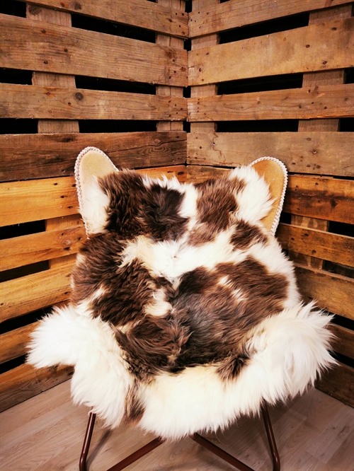 Lammfell Europäich Jacobschaf