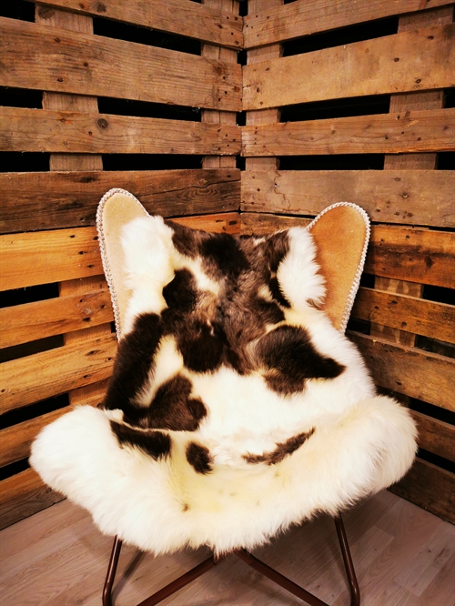 Lammfell Europäich Jacobschaf